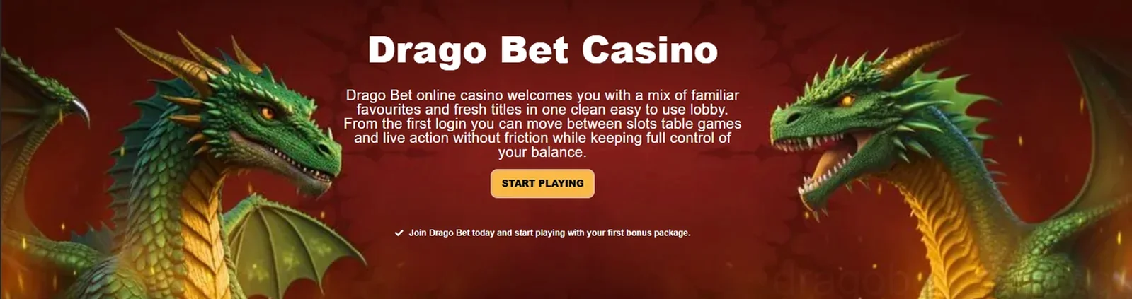 Dragobet Casino Gaming Experience